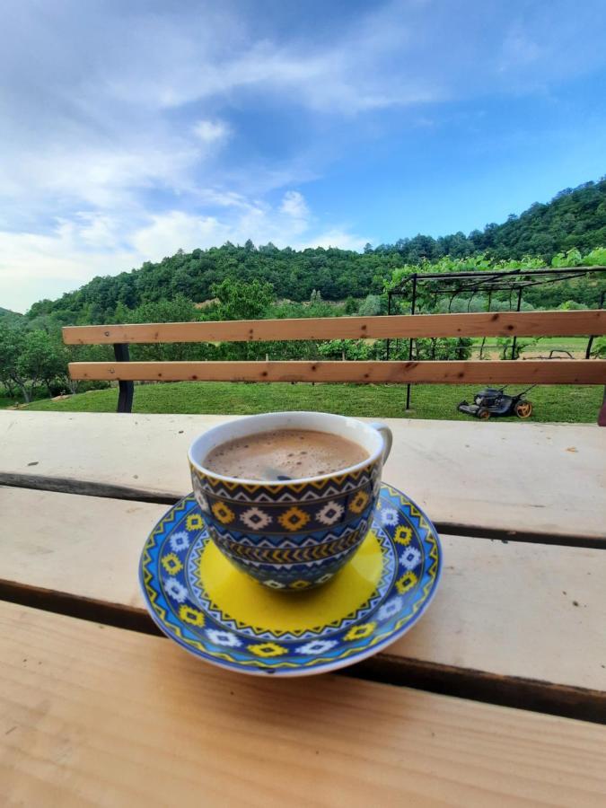 Kuca Za Odmor Ceif Vila Dropci Exterior foto